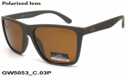 GREY WOLF очки GW5053 C.03P