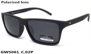 GREY WOLF очки GW5061 C.02P