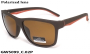 GREY WOLF очки GW5099 C.02P