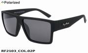 Ray-Flector polarized очки RF2103 COL.02P