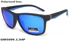 GREY WOLF очки GW5099 C.04P