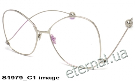 KAIZI exclusive очки S1979 C1 image