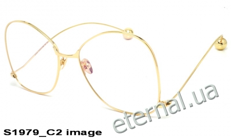 KAIZI exclusive очки S1979 C2 image