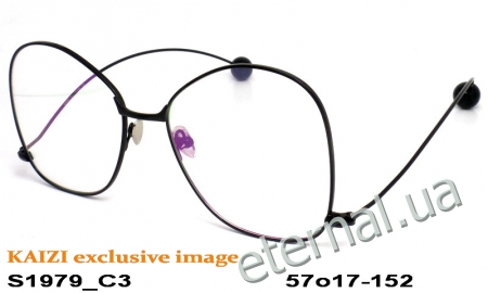 Имиджевые очки KAIZI S1979 C3