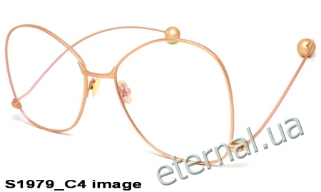 KAIZI exclusive очки S1979 C4 image
