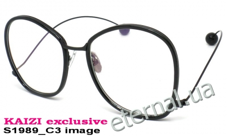 KAIZI exclusive очки S1989 C3 image