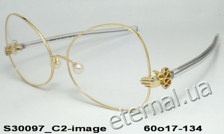 KAIZI exclusive очки S30097 C2 image