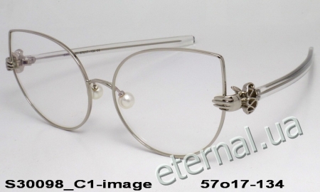 KAIZI exclusive очки S30098 C1 image