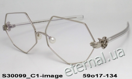 KAIZI exclusive очки S30099 C1 image