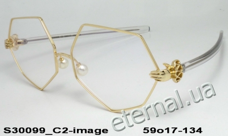 KAIZI exclusive очки S30099 C2 image