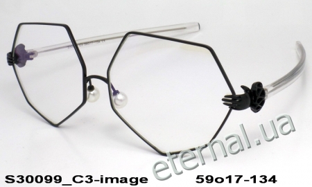 KAIZI exclusive очки S30099 C3 image