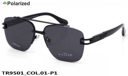 Thom RICHARD очки TR9501 COL.01-P1