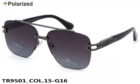 Thom RICHARD очки TR9501 COL.15-G16