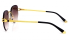 KAIZI exclusive очки S31821 C101