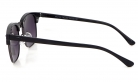 Ray-Flector polarized очки RF2108 COL.01P