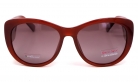 Roberto Marco очки RM8450 COL.188-G22 polarized