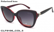 Christian Lafayette очки CLF6100 COL.5