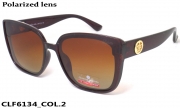 Christian Lafayette очки CLF6134 COL.2
