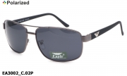 Eagle очки EA3002 C.02P polarized