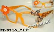 FI-5310_C11
