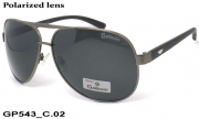 Galileum очки GP543 C.02