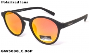 GREY WOLF очки GW5038 C.06P
