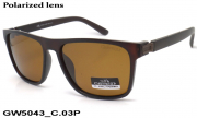 GREY WOLF очки GW5043 C.03P