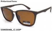 GREY WOLF очки GW5048 C.03P