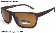GREY WOLF очки GW5057 C.03P