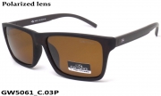GREY WOLF очки GW5061 C.03P