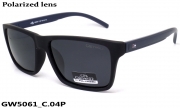 GREY WOLF очки GW5061 C.04P
