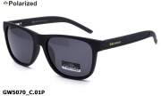 GREY WOLF очки GW5070 C.01P