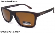 GREY WOLF очки GW5077 C.03P