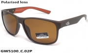 GREY WOLF очки GW5100 C.02P