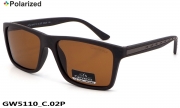 GREY WOLF очки GW5110 C.02P