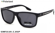 GREY WOLF очки GW5119 C.01P