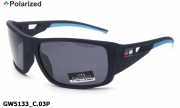GREY WOLF очки GW5133 C.03P polarized