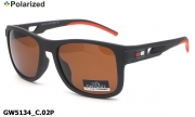 GREY WOLF очки GW5134 C.02P polarized