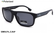 GREY WOLF очки GW5174 C.01P polarized