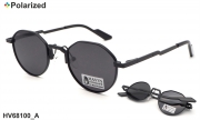 HAVVS очки HV68100 A polarized