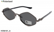 HAVVS очки HV68101 A polarized