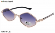 HAVVS очки HV68101 E polarized