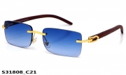 KAIZI exclusive очки S31808 C21