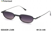 KAIZI exclusive очки S33102P C106 polarized