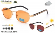Rita Bradley очки RB8202 COL.06PX chameleon