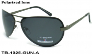 TED BROWNE очки TB-1025 B-GUN-A