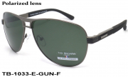 TED BROWNE очки TB-1033 E-GUN-F