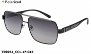 Thom RICHARD очки TR9054 COL.17-G15 polarized