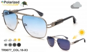 Thom RICHARD очки TR9077 COL.18-X3 polarized