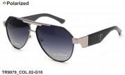 Thom RICHARD очки TR9079 COL.02-G16 polarized